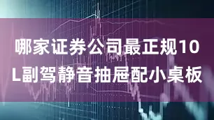 哪家证券公司最正规10L副驾静音抽屉配小桌板