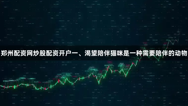 郑州配资网炒股配资开户一、渴望陪伴猫咪是一种需要陪伴的动物