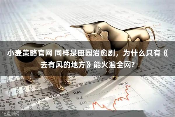 小麦策略官网 同样是田园治愈剧，为什么只有《去有风的地方》能火遍全网?