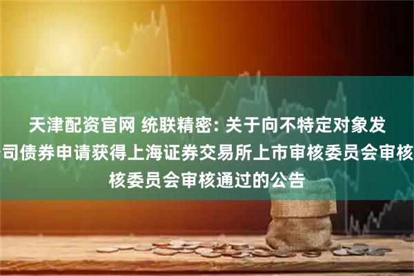 天津配资官网 统联精密: 关于向不特定对象发行可转换公司债券申请获得上海证券交易所上市审核委员会审核通过的公告
