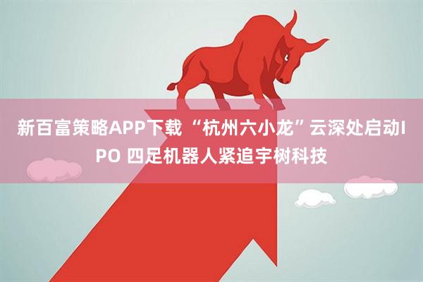 新百富策略APP下载 “杭州六小龙”云深处启动IPO 四足机器人紧追宇树科技