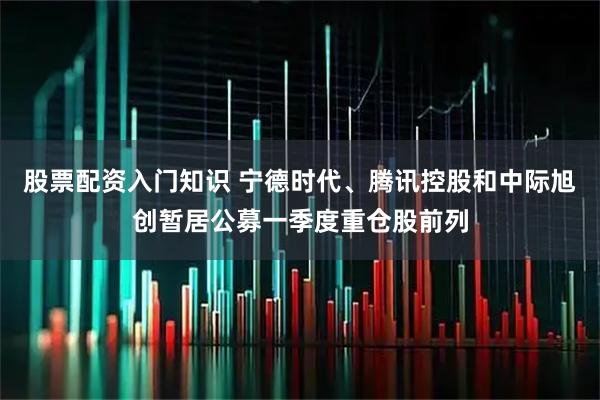 股票配资入门知识 宁德时代、腾讯控股和中际旭创暂居公募一季度重仓股前列